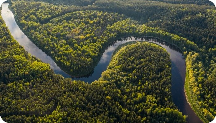 How to Create an Online Marketplace Like Amazon | Codica Post: How to Create an Online Marketplace Like Amazon | Codica