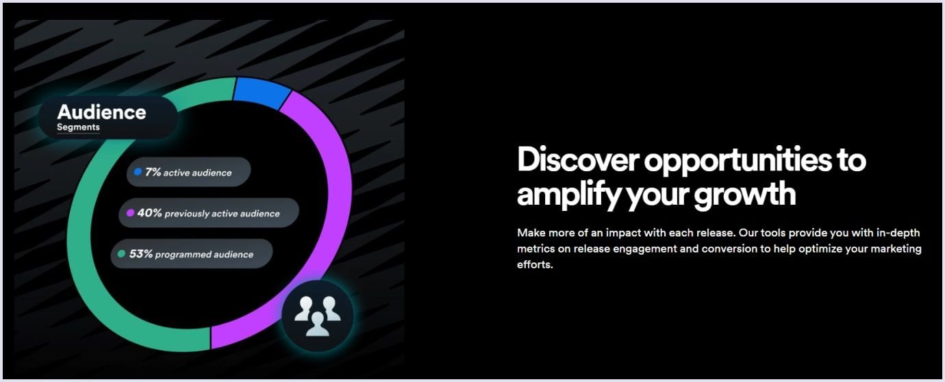 Spotify marketplace benefits