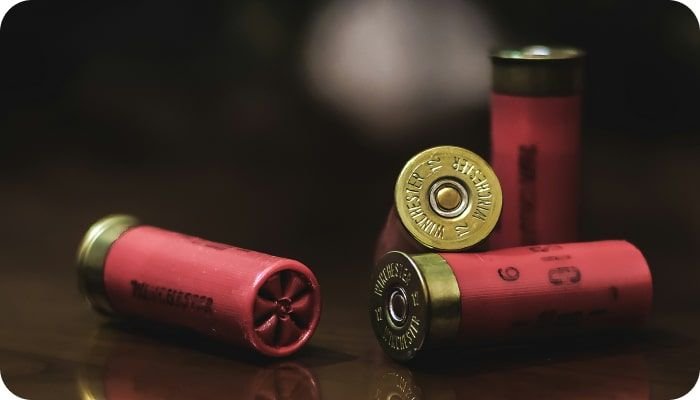 Launching Your Online Gun Store in the US with FFL | Codica Post: Launching Your Online Gun Store in the US with FFL | Codica