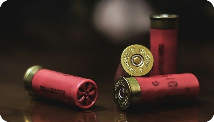 Launching Your Online Gun Store in the US with FFL | Codica Post: Launching Your Online Gun Store in the US with FFL | Codica