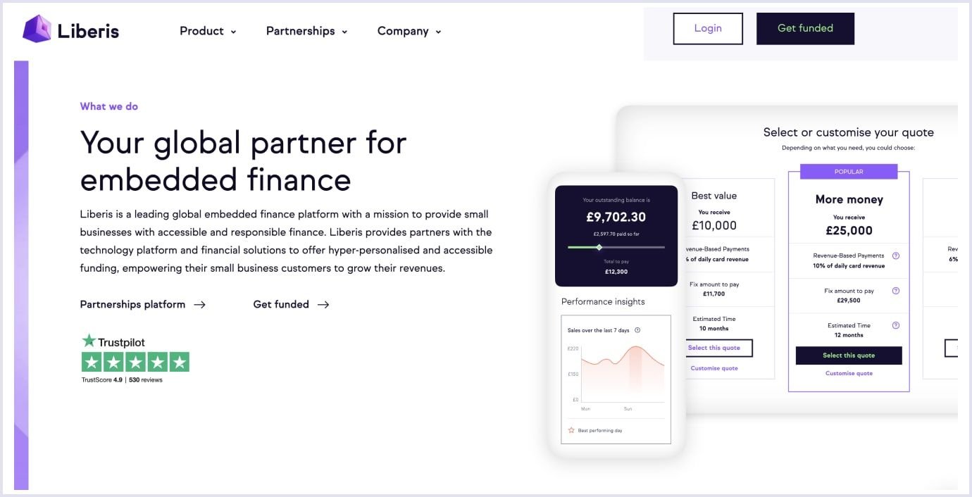 Financial SaaS platform example