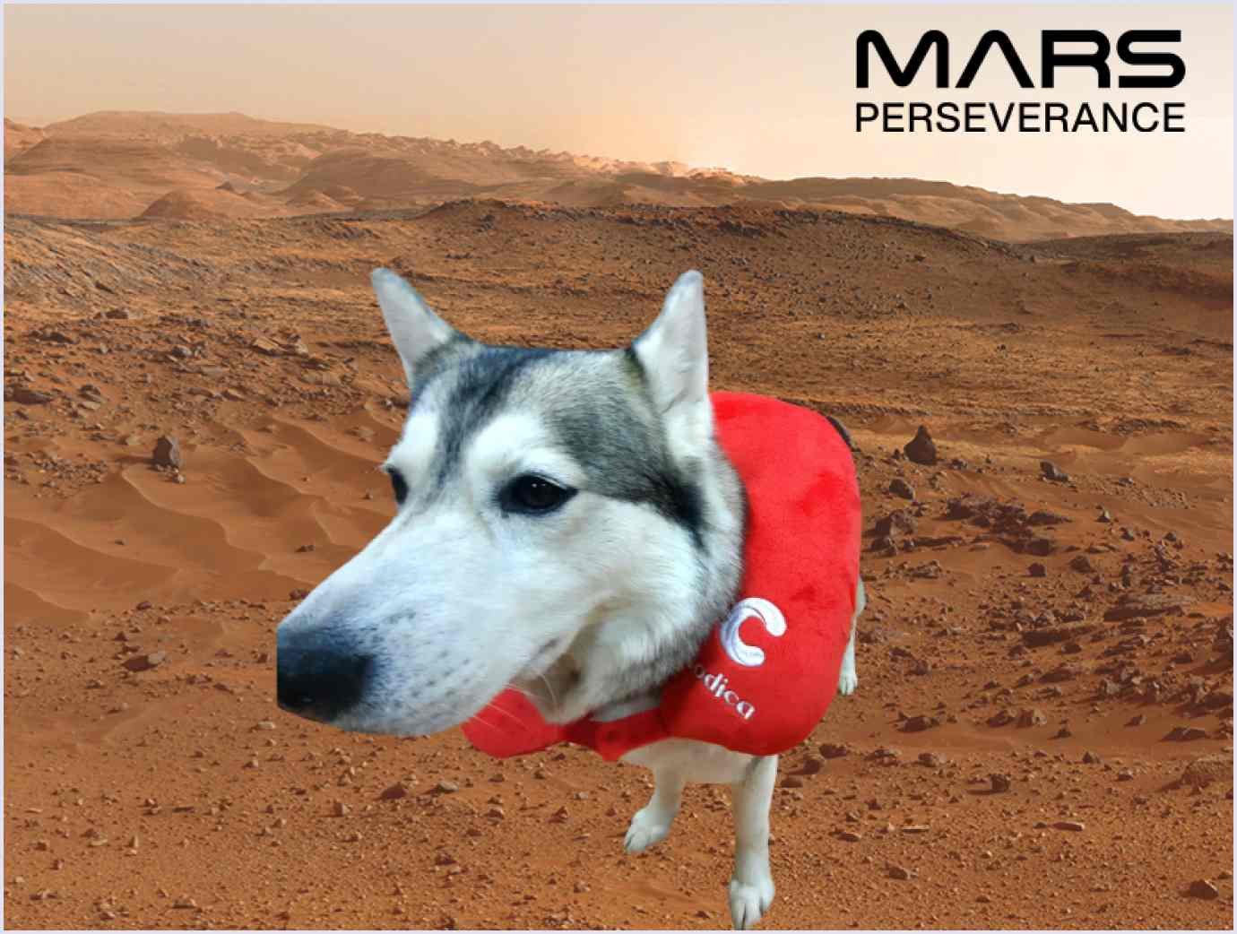 Codica team left a mark on Mars