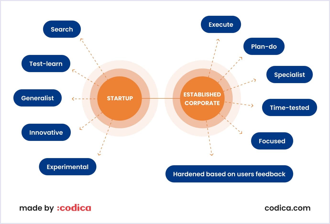 Major distinctions between established corporate and startup